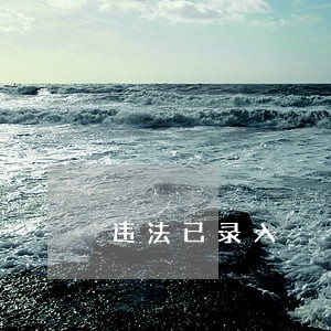 违法已录入 违法已录入