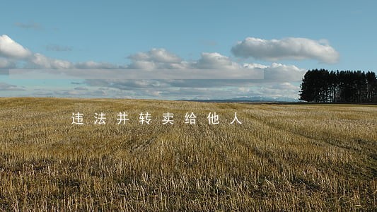 违法并转卖给他人 违法并转卖给他人