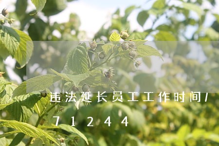 违法延长员工工作时间/2023020871244 违法延长员工工作时间/2023020871244
