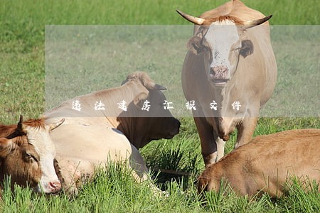 违法建房汇报文件 违法建房汇报文件
