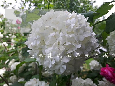 违法建筑三年攻坚战行动方案 违法建筑三年攻坚战行动方案