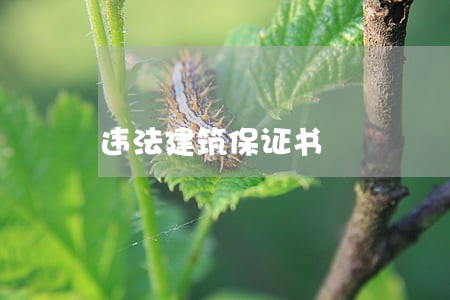 违法建筑保证书 违法建筑保证书
