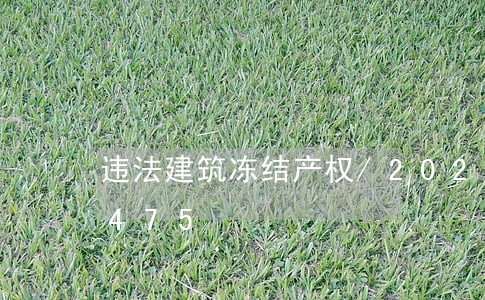 违法建筑冻结产权/2023020753475 违法建筑冻结产权/2023020753475