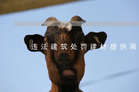 违法建筑处罚建材提供商 违法建筑处罚建材提供商