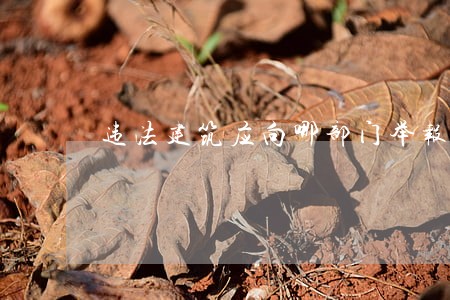 违法建筑应向哪部门举报 违法建筑应向哪部门举报