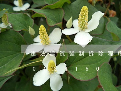 违法建筑强制拆除程序法条/2023020134150 违法建筑强制拆除程序法条/2023020134150