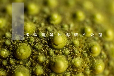 违法建筑所得破产处理