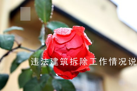 违法建筑拆除工作情况说明 违法建筑拆除工作情况说明