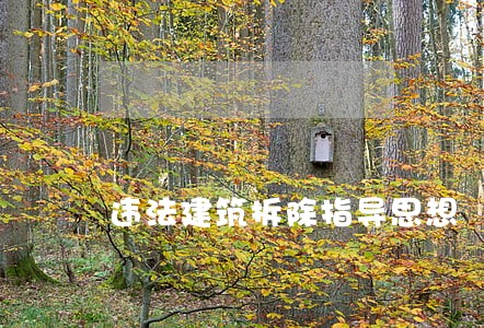 违法建筑拆除指导思想 违法建筑拆除指导思想