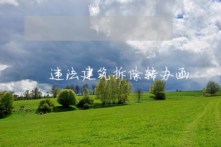 违法建筑拆除转办函 违法建筑拆除转办函
