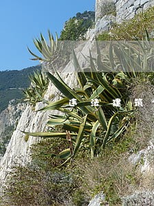 违法建筑日常巡查简报 违法建筑日常巡查简报