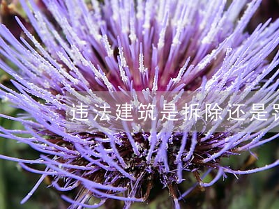 违法建筑是拆除还是罚款 违法建筑是拆除还是罚款