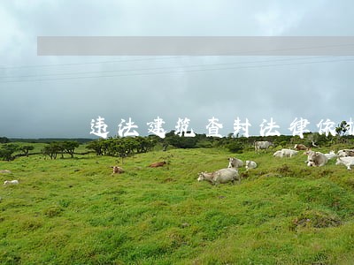 违法建筑查封法律依据 违法建筑查封法律依据