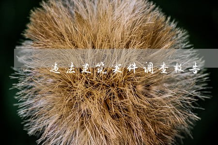 违法建筑案件调查报告 违法建筑案件调查报告
