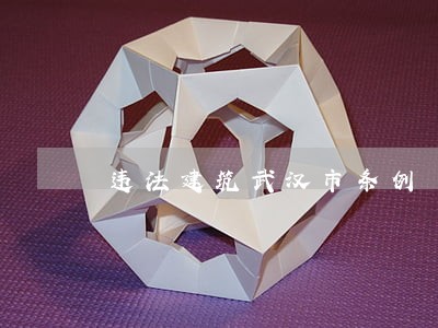 违法建筑武汉市条例 违法建筑武汉市条例