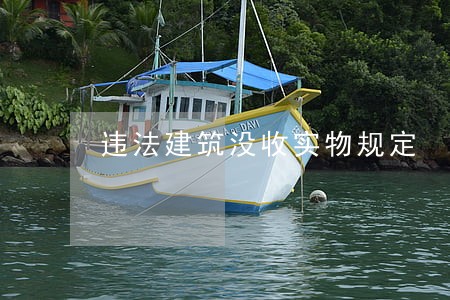 违法建筑没收实物规定 违法建筑没收实物规定