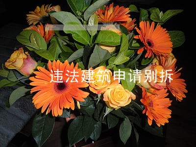 违法建筑申请别拆 违法建筑申请别拆