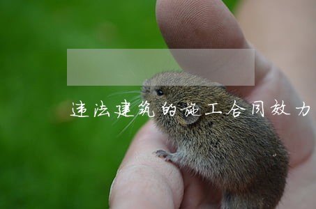 违法建筑的施工合同效力 违法建筑的施工合同效力