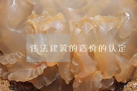 违法建筑的造价的认定 违法建筑的造价的认定