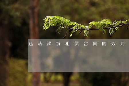 违法建筑租赁合同的效力 违法建筑租赁合同的效力