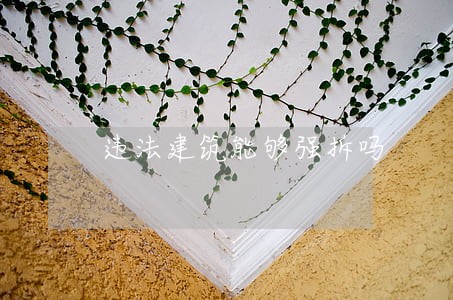 违法建筑能够强拆吗