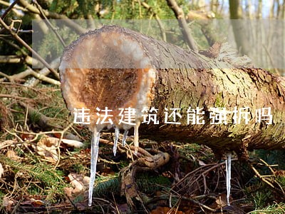 违法建筑还能强拆吗 违法建筑还能强拆吗