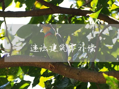 违法建筑零补偿 违法建筑零补偿