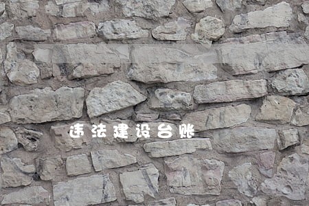 违法建设台账