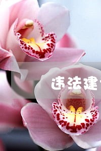 违法建设存量分类处置 违法建设存量分类处置