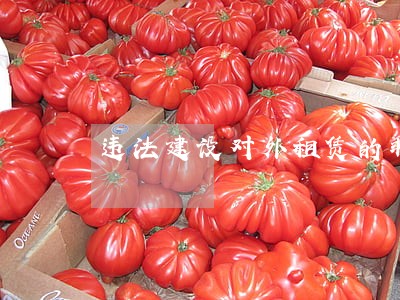 违法建设对外租赁的非法所得