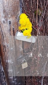 违法建设小产权房产生的借贷 违法建设小产权房产生的借贷