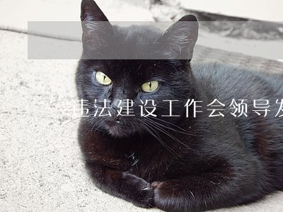 违法建设工作会领导发言 违法建设工作会领导发言