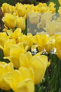 违法建设拆是原则 违法建设拆是原则