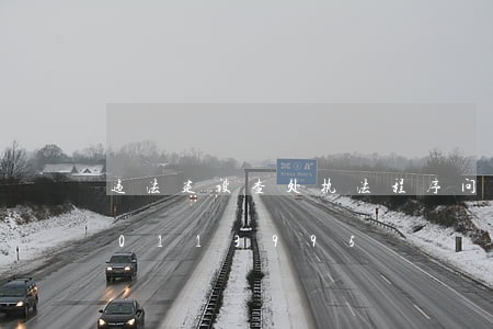 违法建设查处执法程序问题/2023020113995 违法建设查处执法程序问题/2023020113995