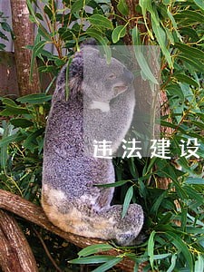 违法建设治理工作打算 违法建设治理工作打算