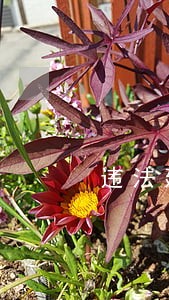 违法建设治理工作经验做法 违法建设治理工作经验做法