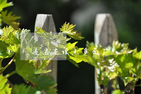违法建设点多面广