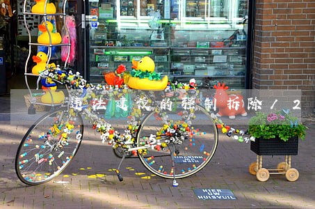 违法建设的强制拆除/2023012969925 违法建设的强制拆除/2023012969925