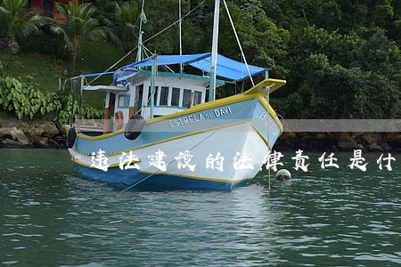 违法建设的法律责任是什么 违法建设的法律责任是什么