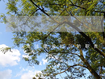 违法建设社区的职责 违法建设社区的职责