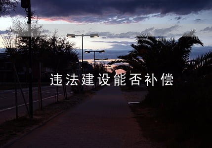 违法建设能否补偿 违法建设能否补偿