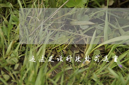 违法建设行政处罚过重 违法建设行政处罚过重