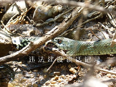 违法建设谈话记录