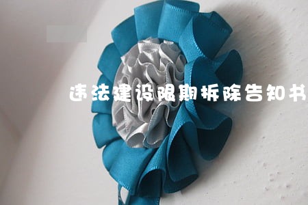 违法建设限期拆除告知书 违法建设限期拆除告知书