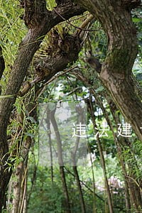 违法建设预防控制研究 违法建设预防控制研究