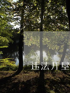 违法开垦3000多亩耕地