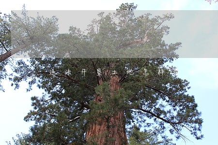 违法开垦土地怎样举报 违法开垦土地怎样举报