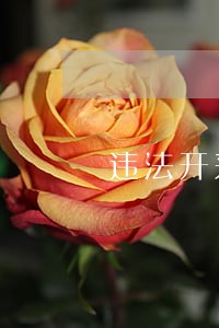 违法开采情况汇报 违法开采情况汇报