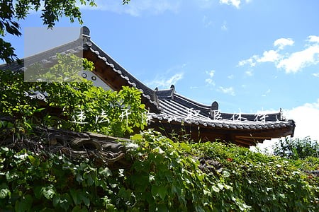 违法开除公职退休待遇 违法开除公职退休待遇