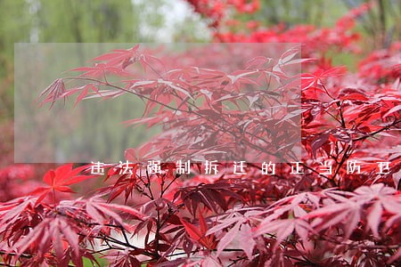 违法强制拆迁的正当防卫 违法强制拆迁的正当防卫